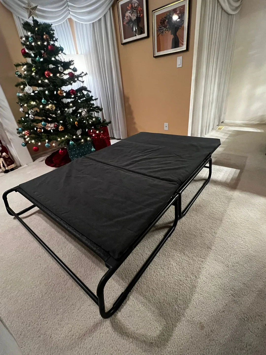 Folding Sofa Bed image indicator(3)