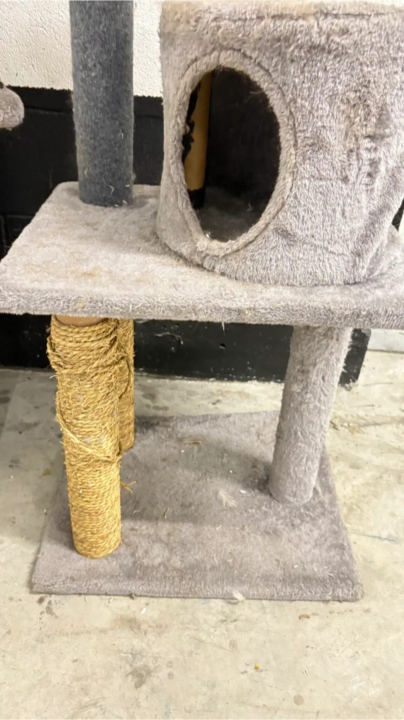 Used Cat Tree image indicator(3)