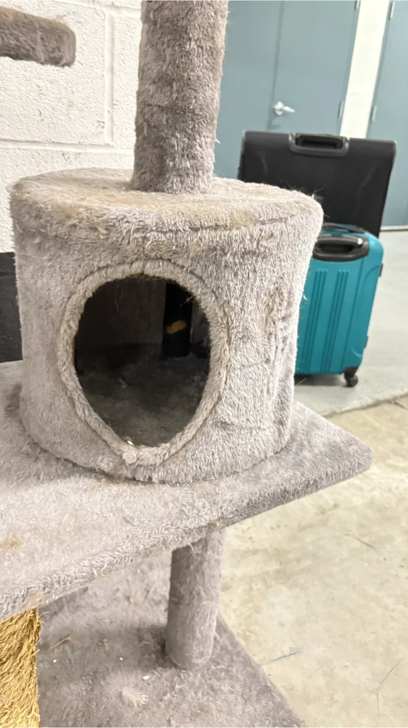 Used Cat Tree image indicator(4)