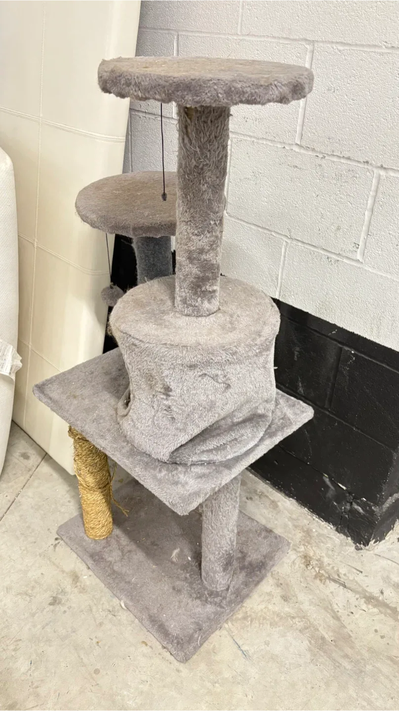 Used Cat Tree image indicator(5)