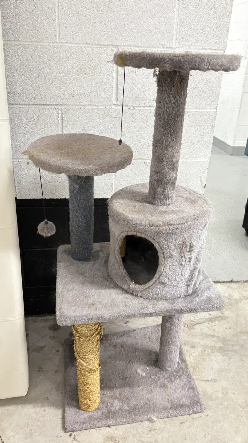 Used Cat Tree
