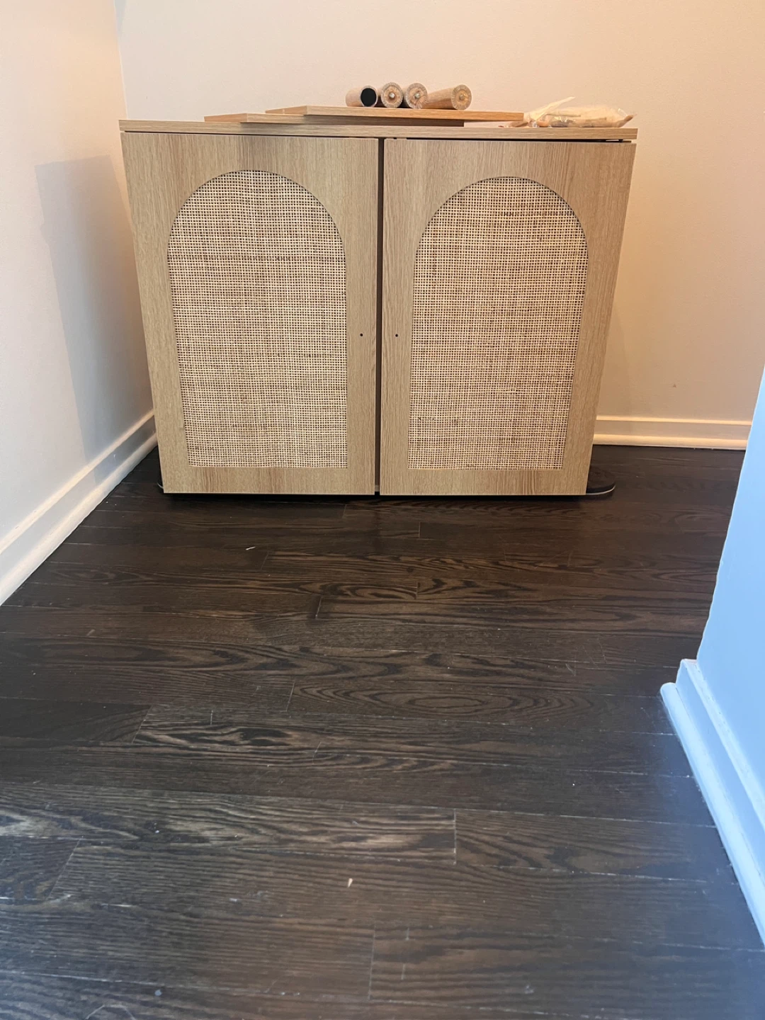 Cabinet with Rattan Doors