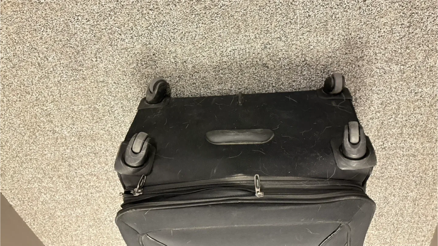 Ricardo Beverly Hills Black Luggage image indicator(4)