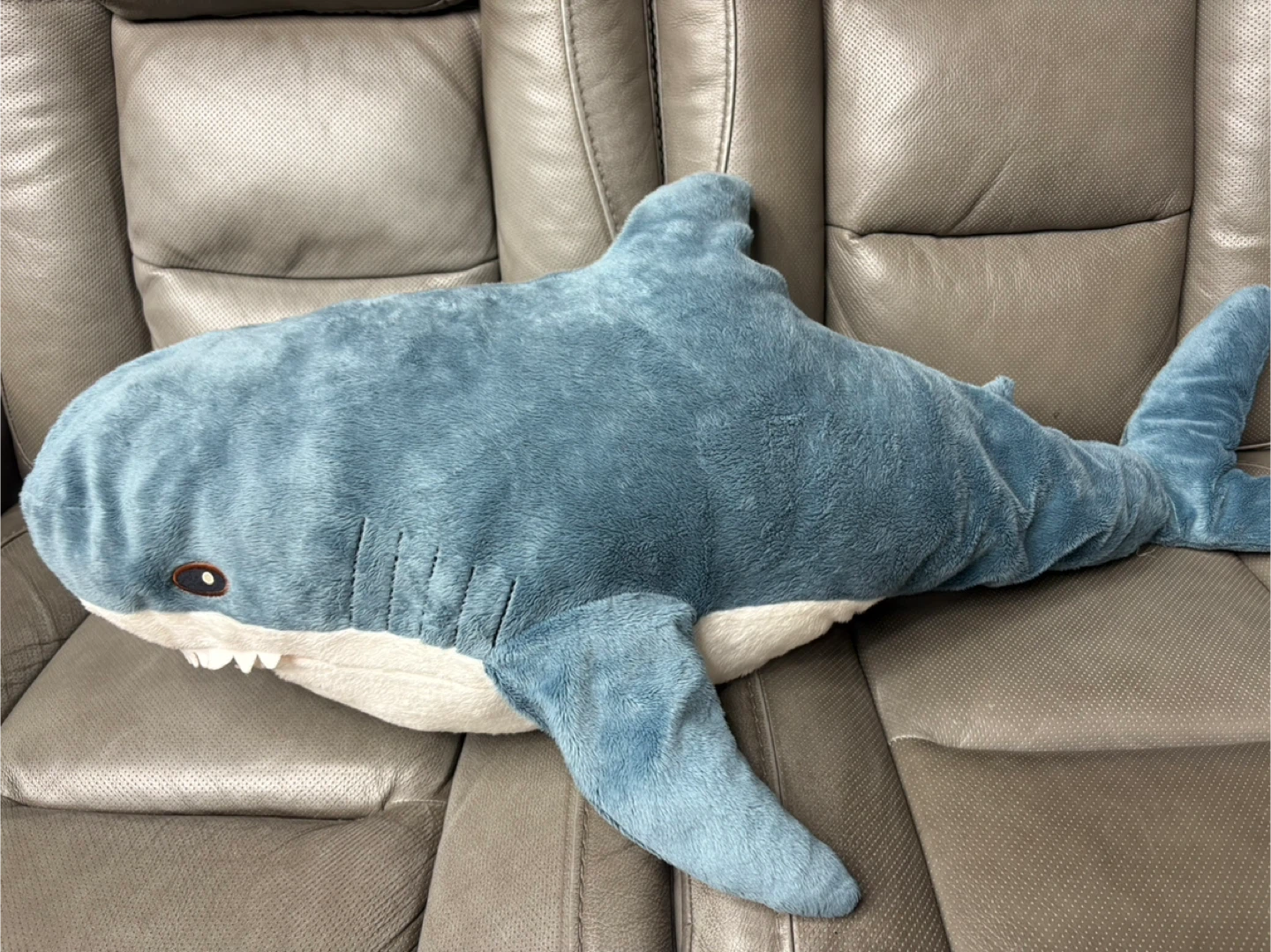 FREE. MUST PICK UP ASAP IKEA Blahaj Shark Plush Toy