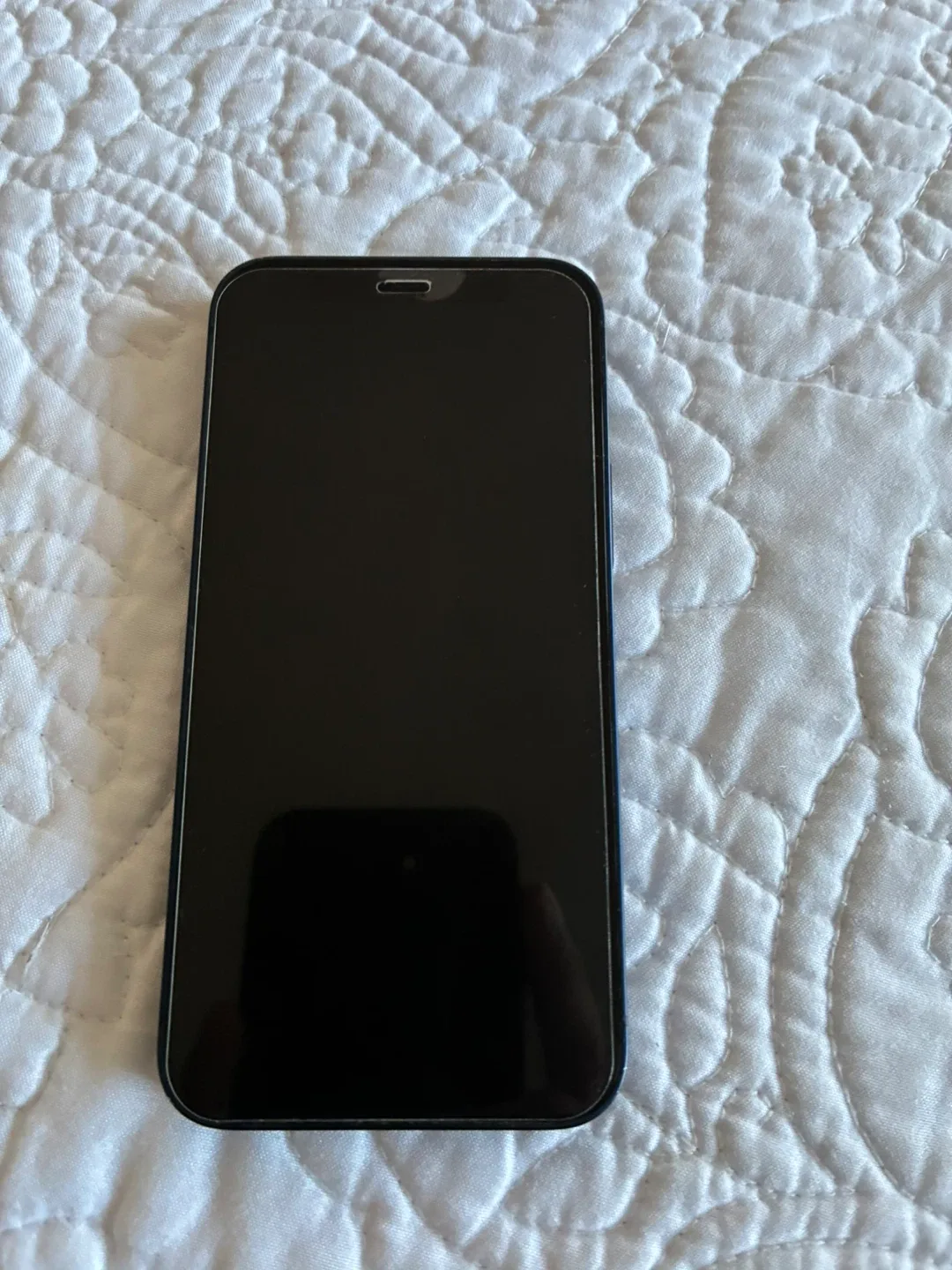 iPhone 12 Mini - Blue image indicator(2)