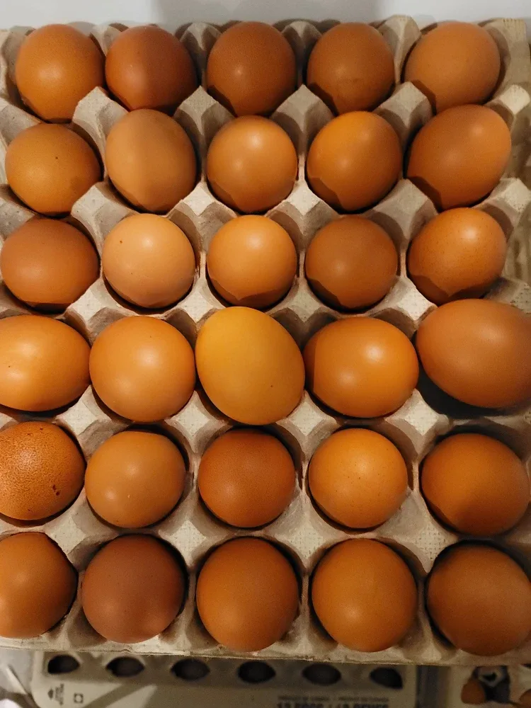 12 Organic Pasture-Raised Brown Eggs