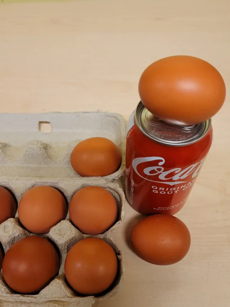 12 Organic Pasture-Raised Brown Eggs image indicator(2)