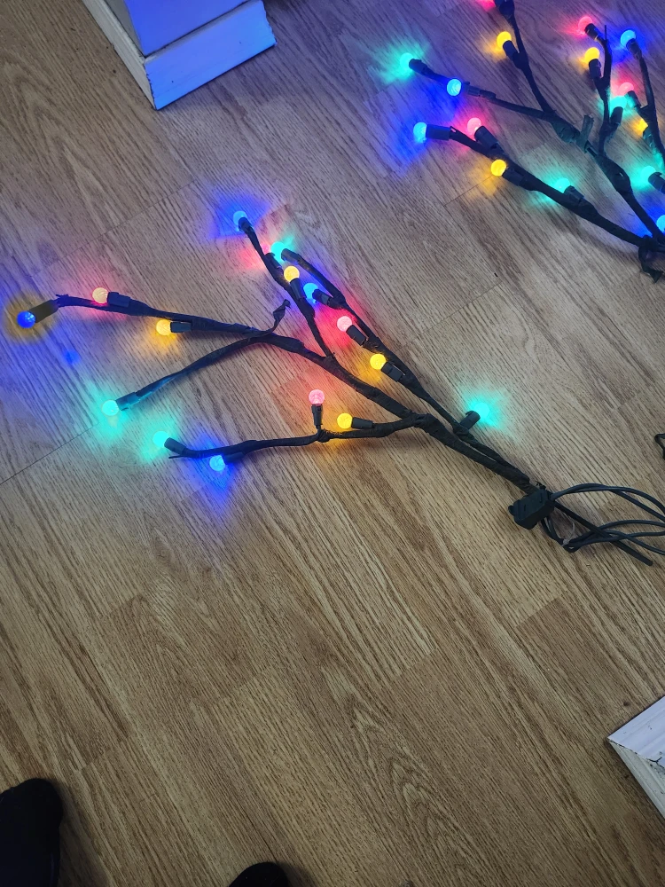 Outdoor Branch lights - photo 4