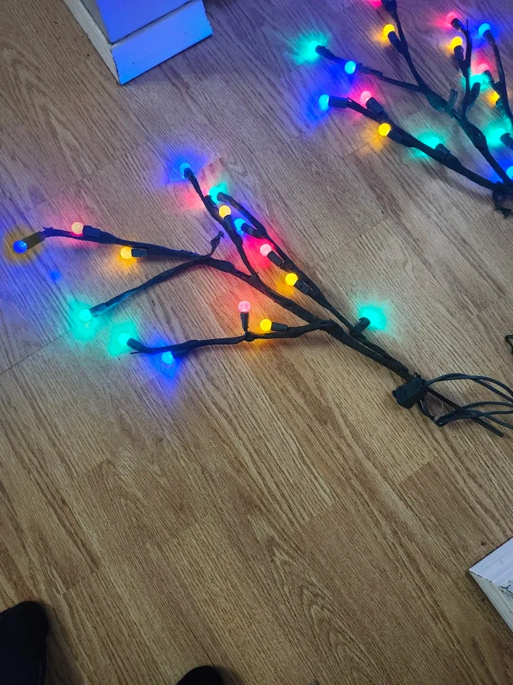 Outdoor Branch lights image indicator(4)