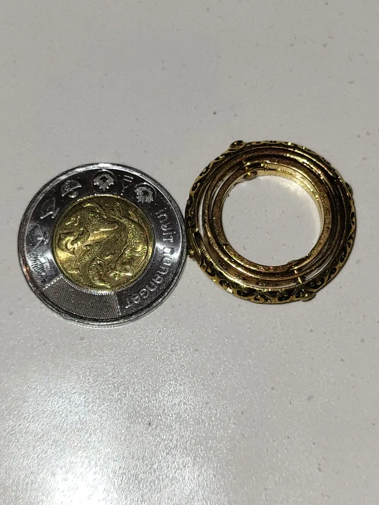 Vintage Armillary Sphere Ring - Gold image indicator(3)
