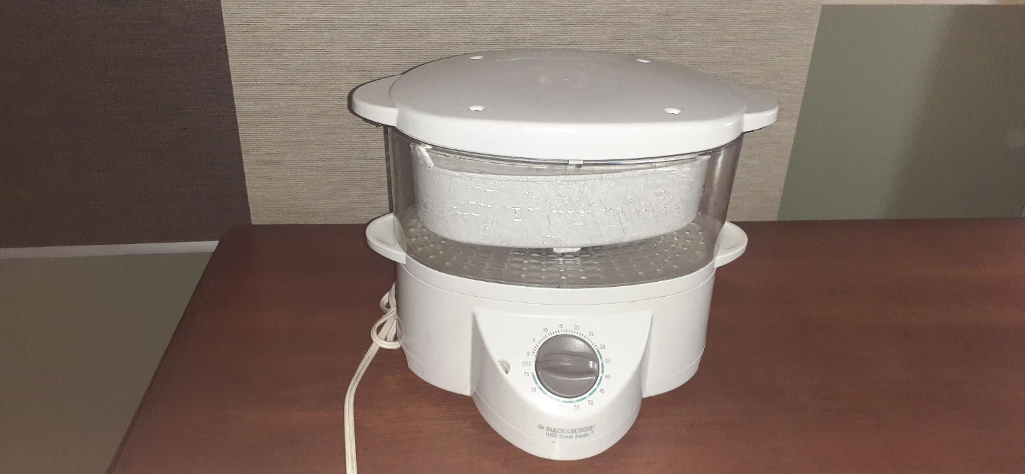 Black & Decker Flavor Scenter Steamer