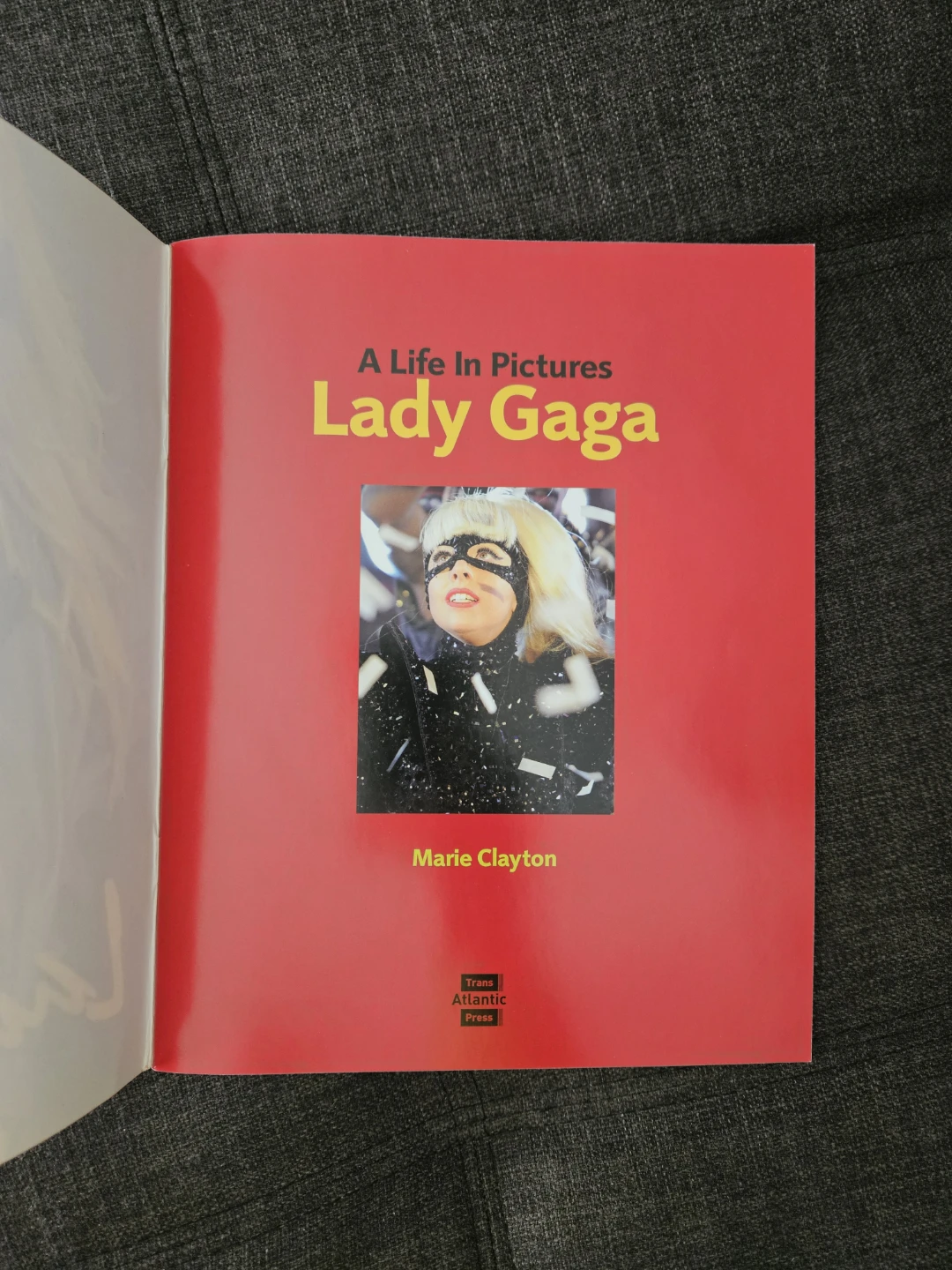 Lady Gaga: A Life In Pictures by Marie Clayton 48 page book - photo 3