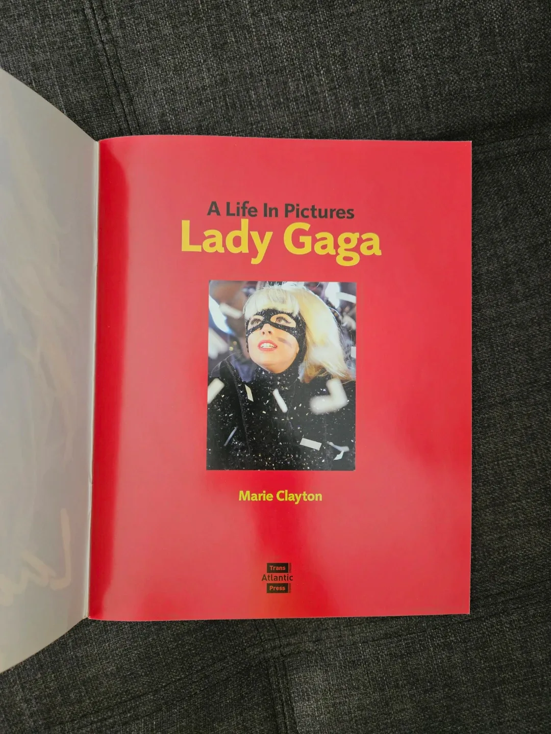 Lady Gaga: A Life In Pictures by Marie Clayton 48 page book image indicator(3)
