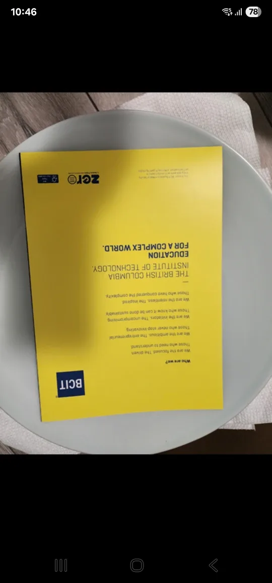 Two very big White Plates (2EA with two bonus plates) image indicator(2)