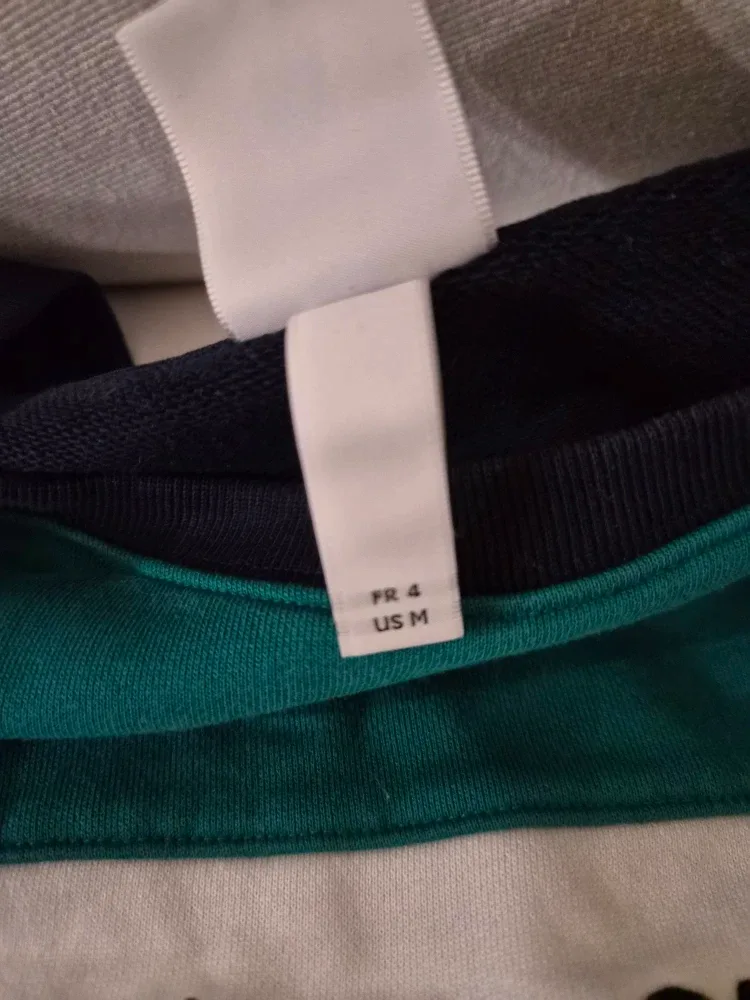 Lacoste Hoodie Size M image indicator(6)