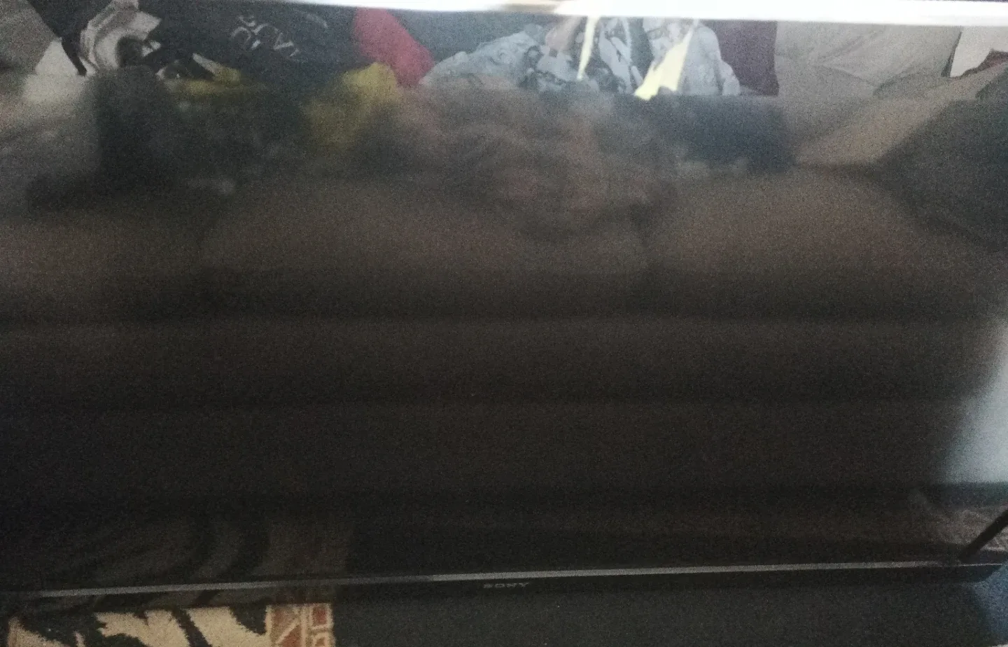 Sony 55 inch TV image indicator(3)