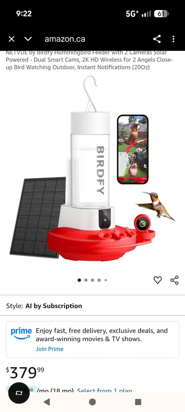 BIRDFY NETVUE Hummingbird Feeder with 2 Cameras