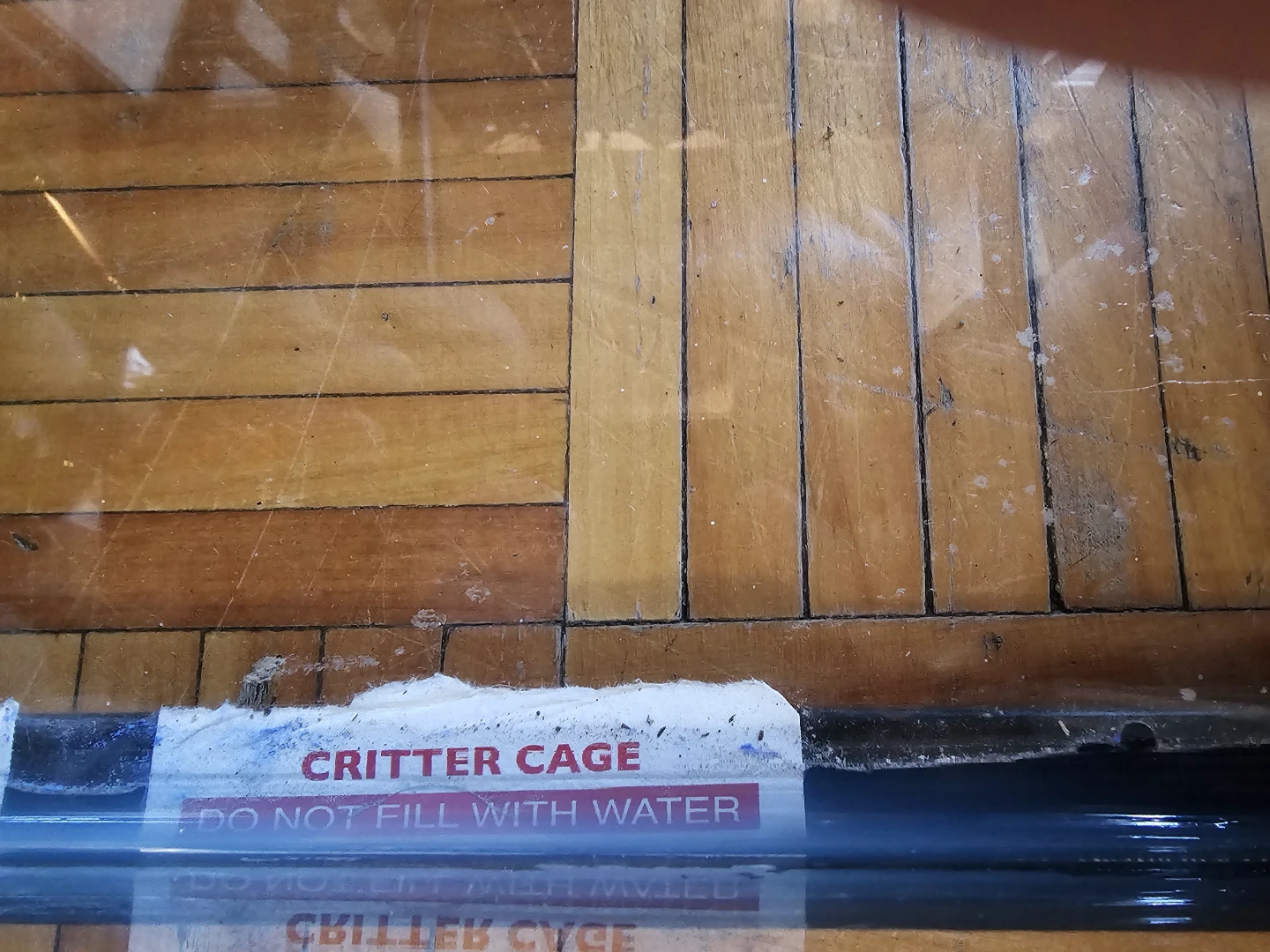 Critter Cage Terrarium - photo 4