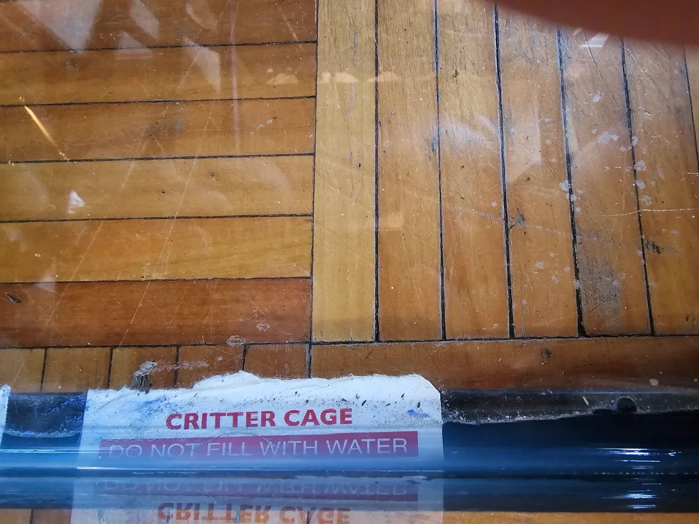 Critter Cage Terrarium image indicator(4)