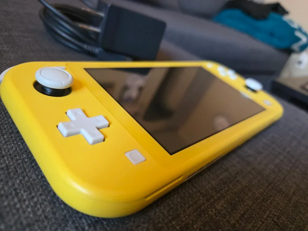 Nintendo Switch Lite image indicator(3)