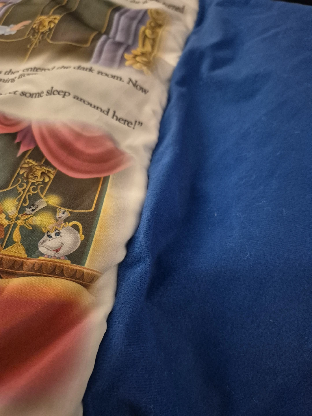 Disney Princess & Tinkerbell Pillowcase books. - photo 5