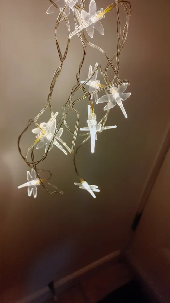 Dragonfly String Lights Battery Operated