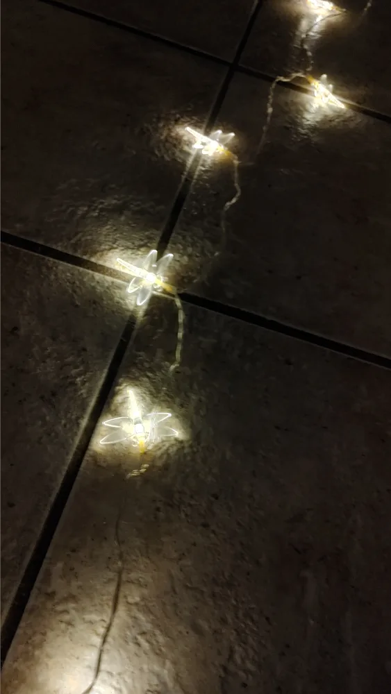 Dragonfly String Lights Battery Operated image indicator(4)