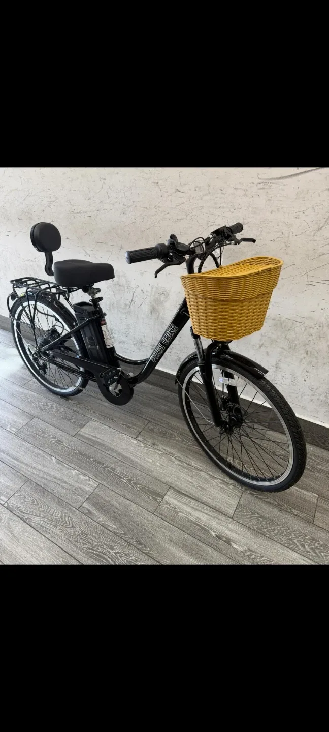 E-Glide Electric Bicycle image indicator(3)