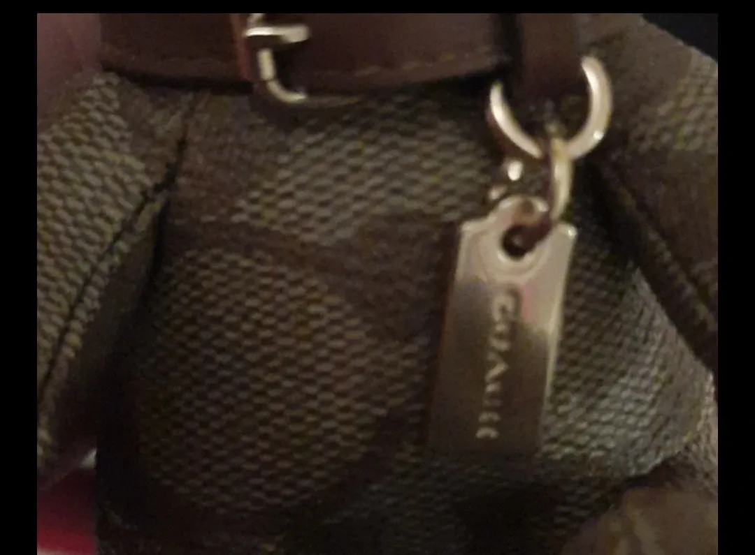 NWT authentic coach collectible bear keyfob image indicator(7)