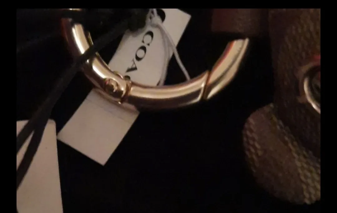 NWT authentic coach collectible bear keyfob image indicator(10)