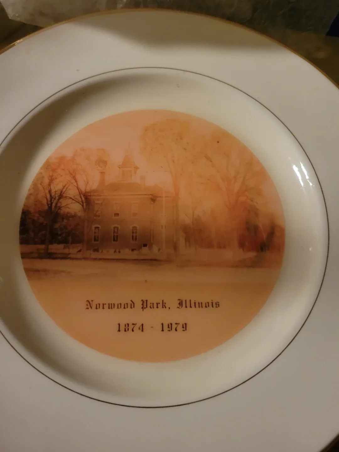 Norwood Park, Illinois Collector Plate