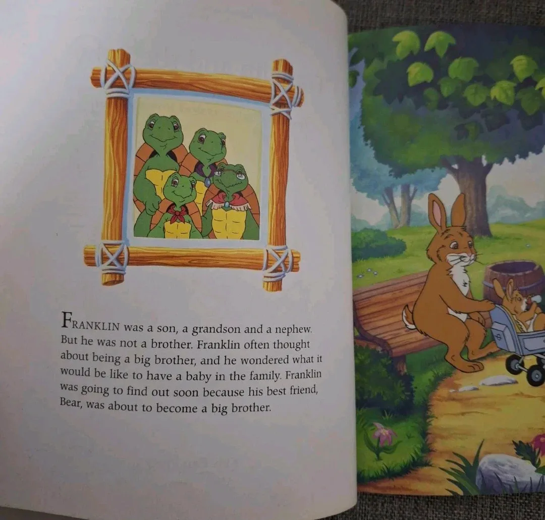 Franklin And The Baby Book image indicator(2)