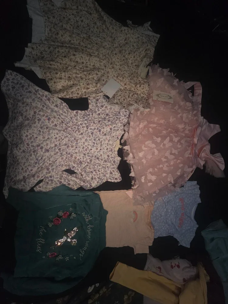 Mixed Lot of Baby girl Clothes 2T