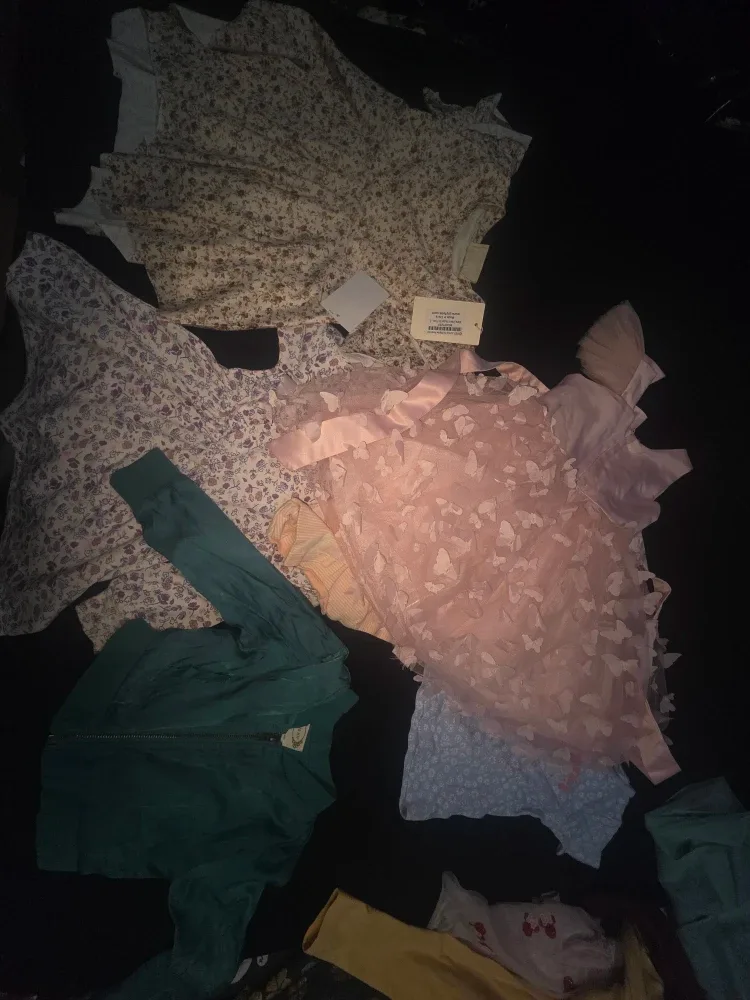 Mixed Lot of Baby girl Clothes 2T image indicator(2)