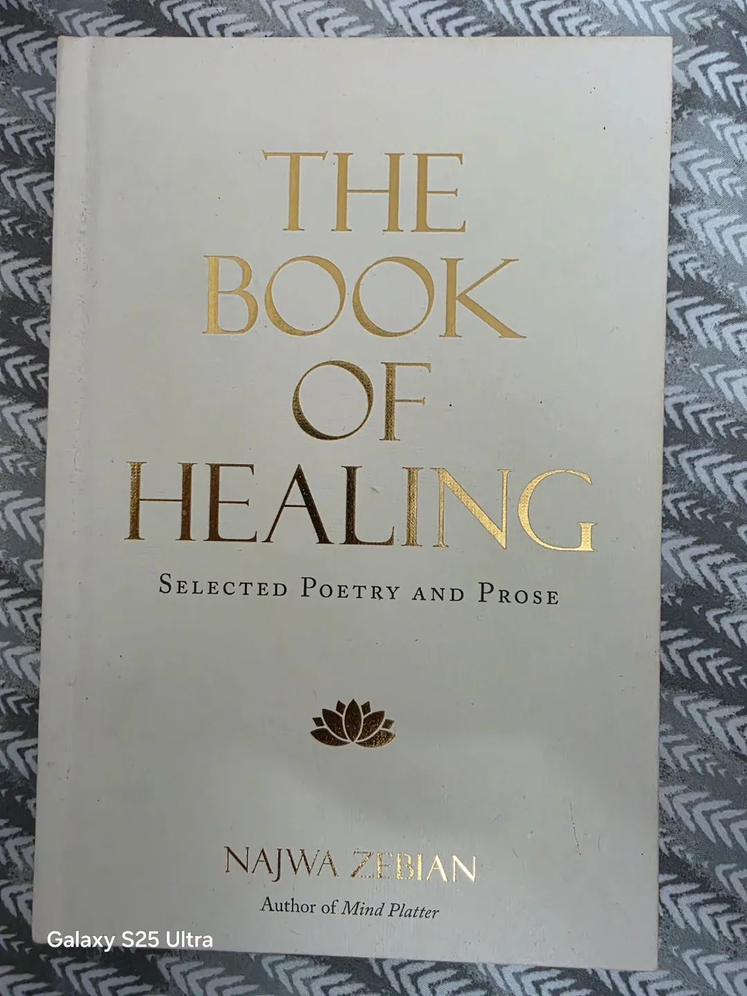 Mixed Lot of 5 Paperback Books image indicator(4)