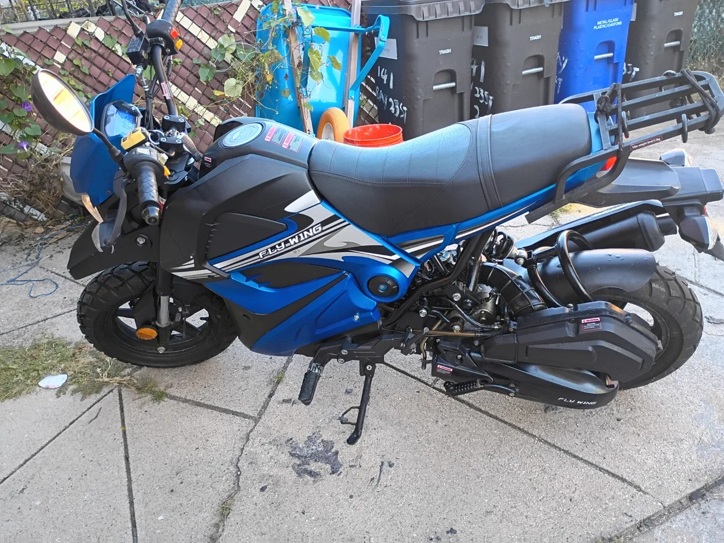 Fly Wing Scooter - Blue & Black image indicator(2)