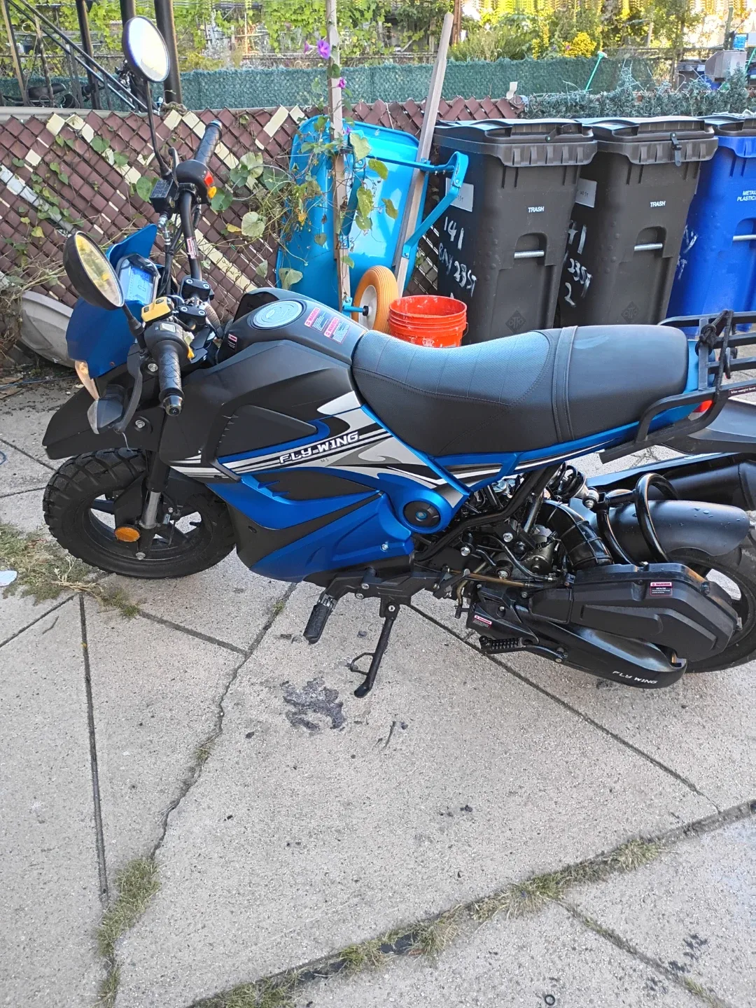 Fly Wing Scooter - Blue & Black image indicator(3)