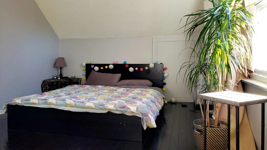 3Bdrm 2Bath Danforth & Vic Park image indicator(6)