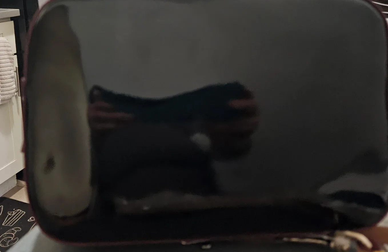 Dooney and Bourke cross body camera bag. image indicator(4)