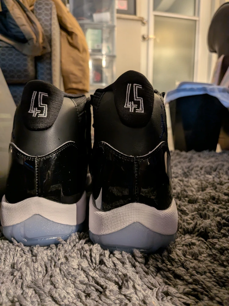 Air Jordan 11 Retro space jams
