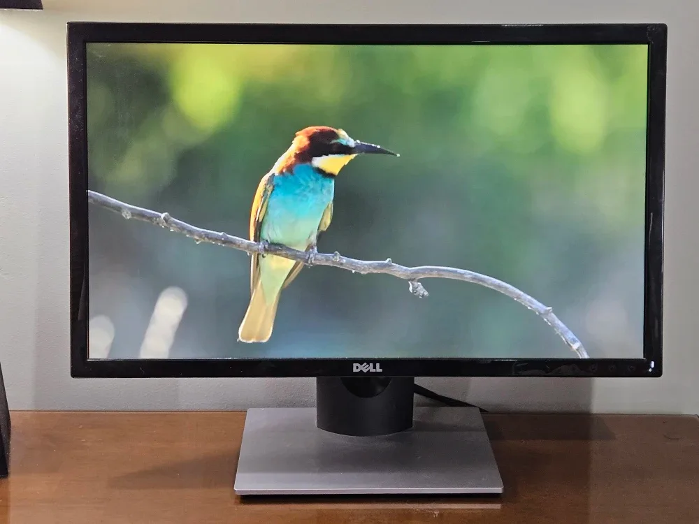 Dell Gaming 24 Inch WLED FHD Monitor with HDMI