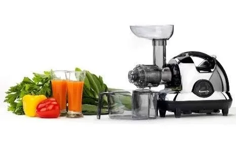 Kuvings Masticating Slow Juicer - Silver image indicator(4)