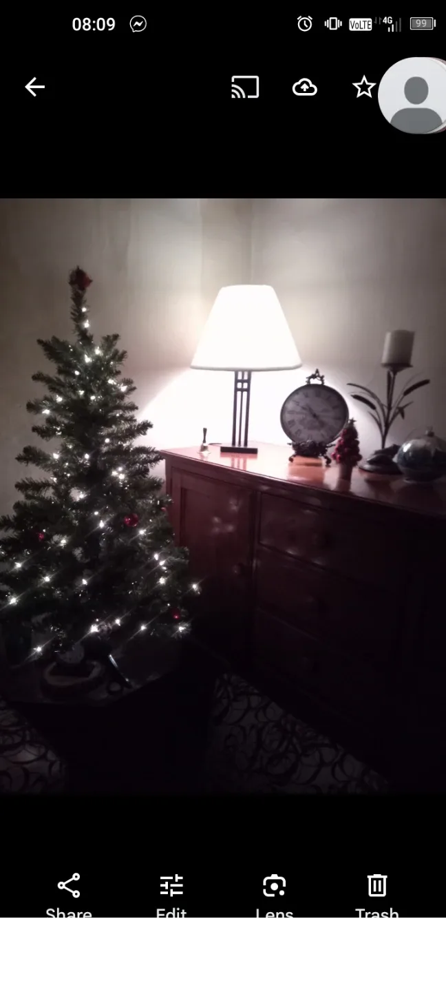 3' 🎄 Christmas tree 🎄. String of lights included. image indicator(2)
