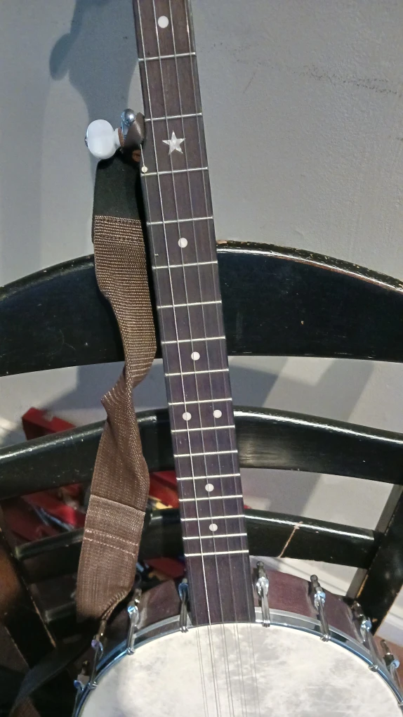 Gold Tone Banjo with Case - photo 3