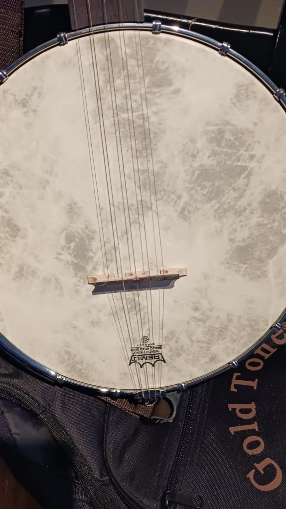 Gold Tone Banjo with Case - photo 4