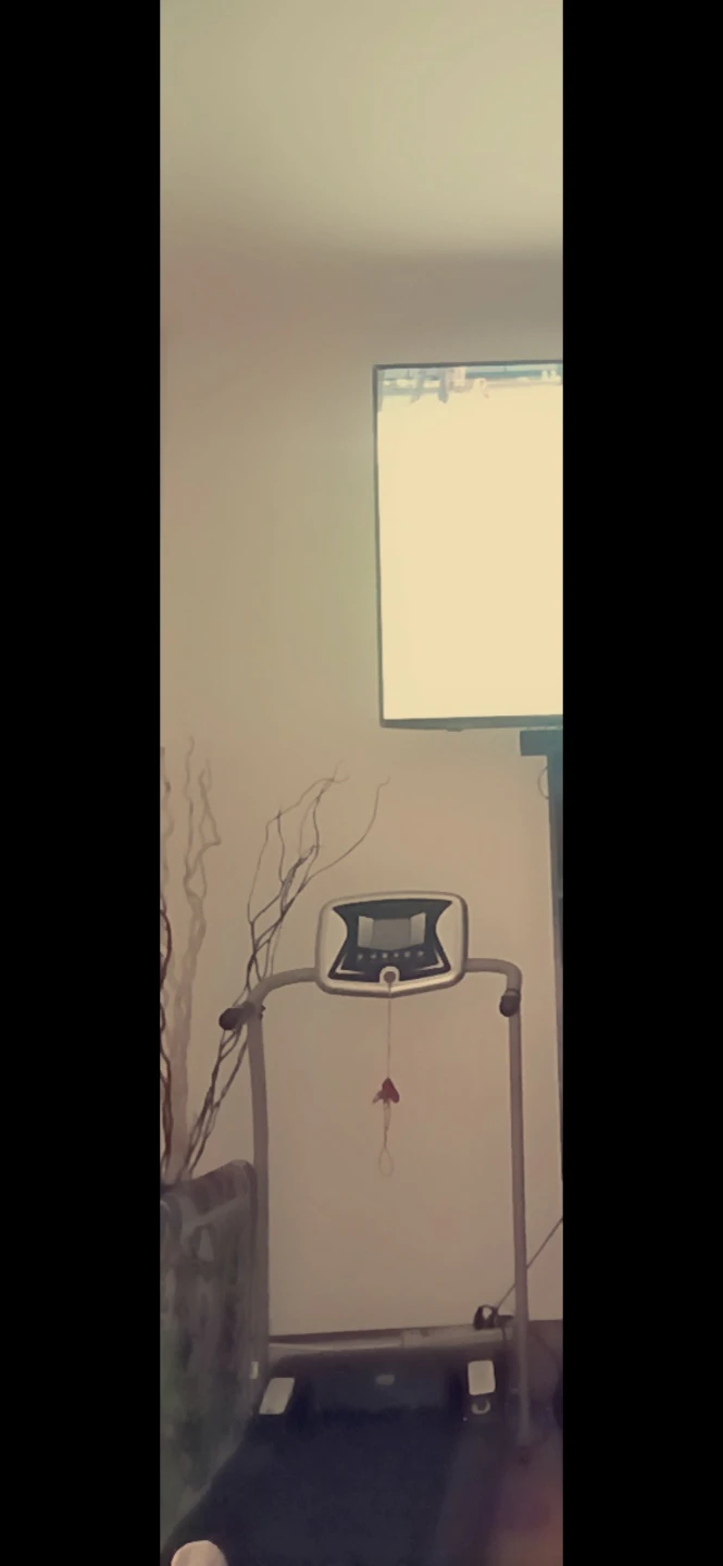 Treadmill - photo 2