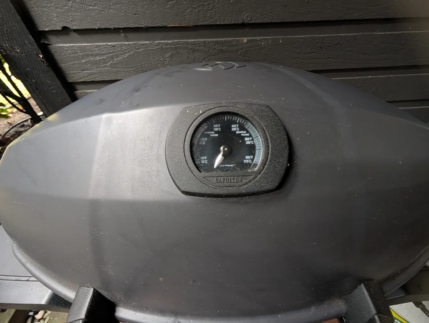 Napoleon Travel Pro Phantom Edition - Like New (Used 2x!) 🥕 image indicator(3)