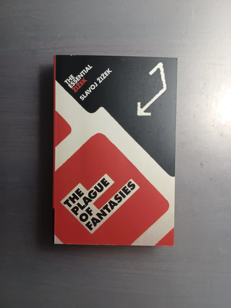 Slavoj Žižek Books - photo 2