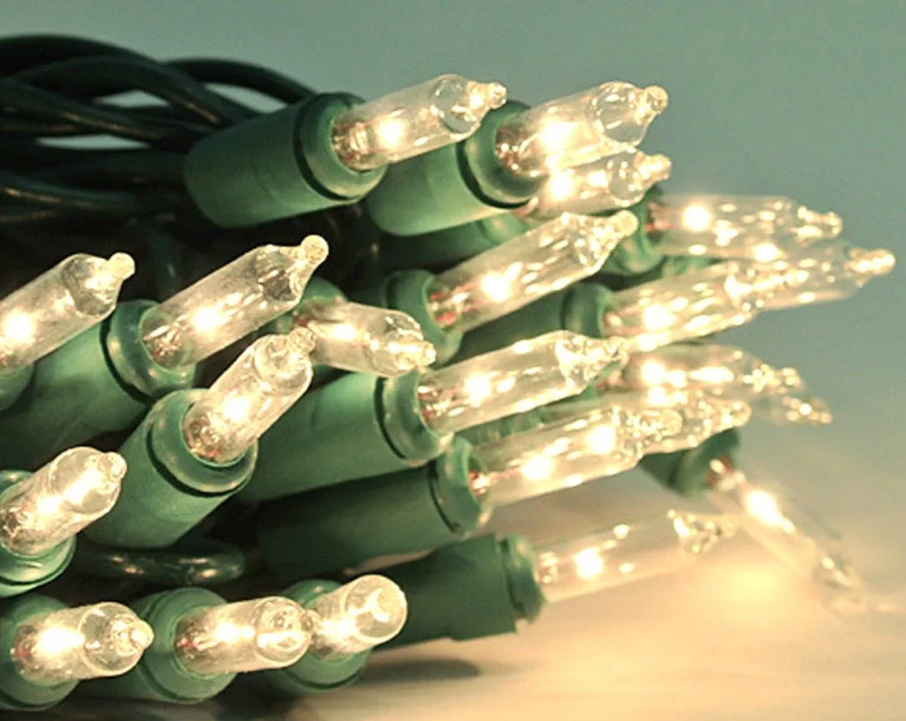 🎄Brand New Home Accents Holiday Lights - Indoor/Outdoor🎄 image indicator(8)