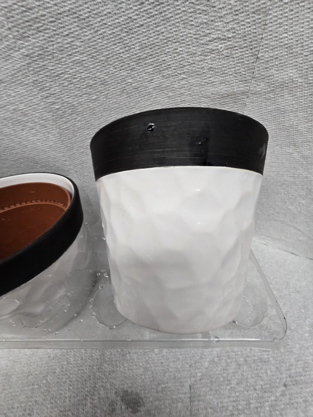 Potted Hoya Plant with set of 2 empty  White Ceramic Pot - photo 4